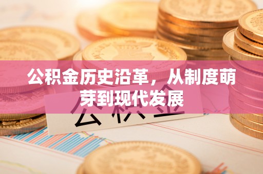 阿合奇公积金历史沿革，从制度萌芽到现代发展