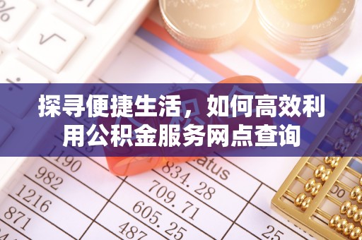 阿合奇探寻便捷生活，如何高效利用公积金服务网点查询