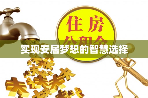 阿合奇实现安居梦想的智慧选择