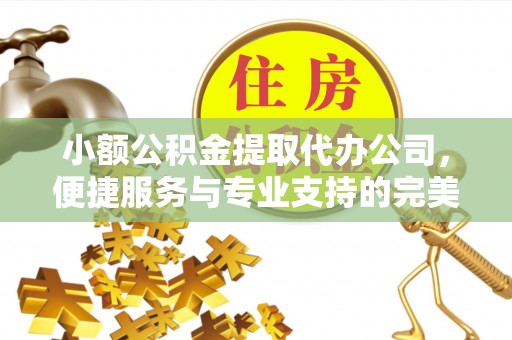 阿合奇小额公积金提取代办公司，便捷服务与专业支持的完美结合