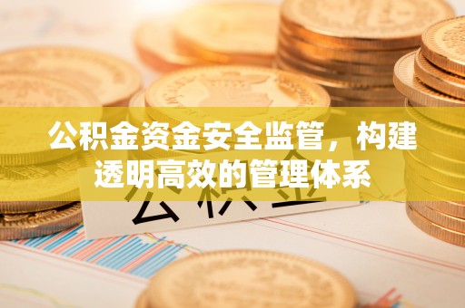 阿合奇公积金资金安全监管，构建透明高效的管理体系