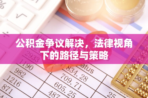 阿合奇公积金争议解决，法律视角下的路径与策略