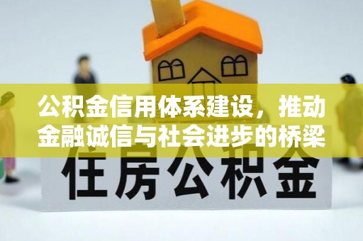 阿合奇公积金信用体系建设，推动金融诚信与社会进步的桥梁