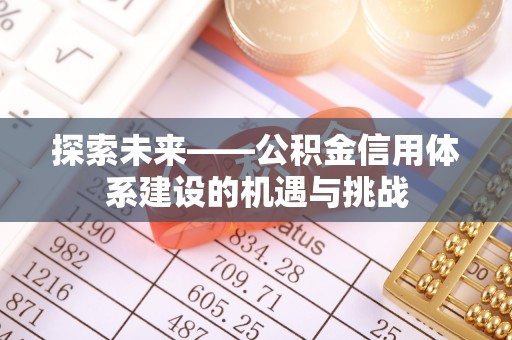 阿合奇探索未来——公积金信用体系建设的机遇与挑战